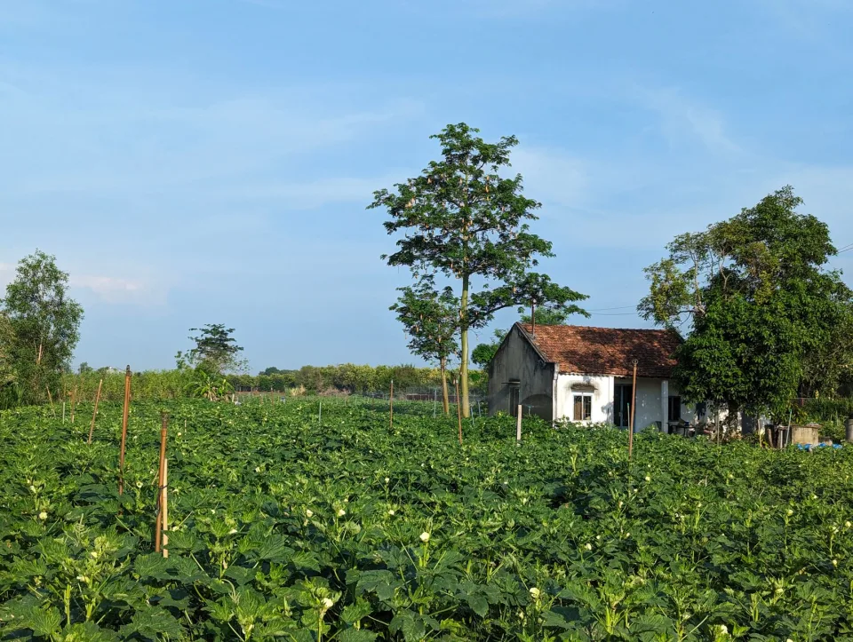 Hình ảnh tại Võ Thị Thanh Nhung 3